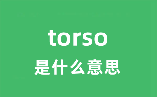 torso是甚么意义