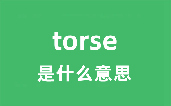 torse是甚么意义