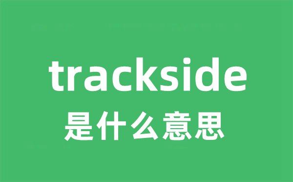 trackside是甚么意义