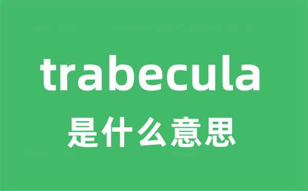 trabecula是甚么意义