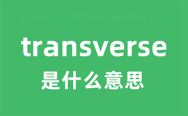 transverse是甚么意义