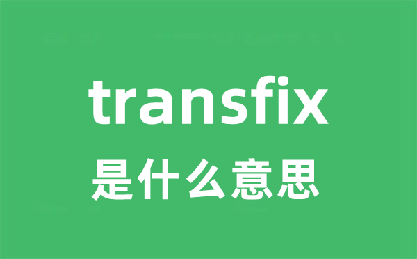 transfix是甚么意义