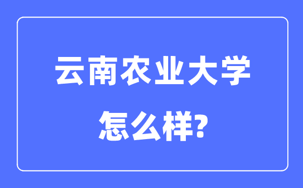 云南农业大学是几本一本仍是二本,云南农业大学怎样样？