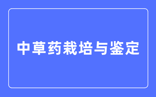 中草药种植与判定专业首要学甚么,中草药种植与判定专业的失业标的目的和远景阐发