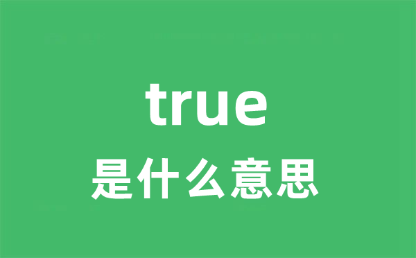 true是甚么意义