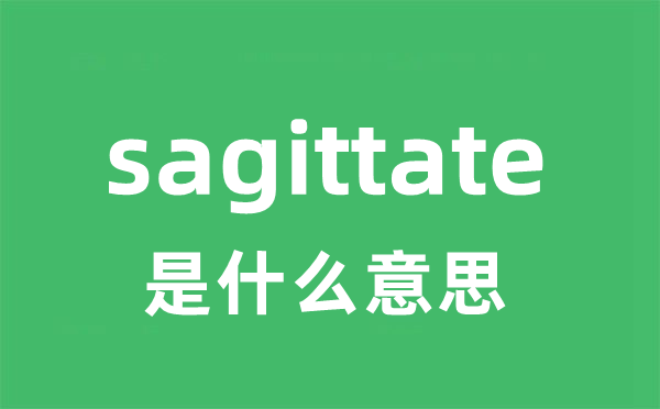 sagittate是甚么意义