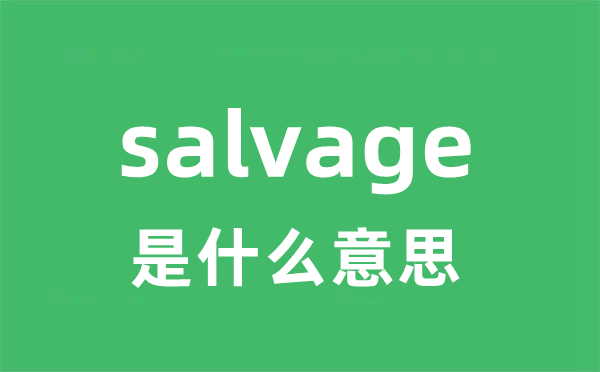 salvage是甚么意义