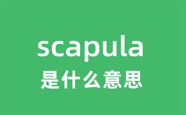 scapula是甚么意义