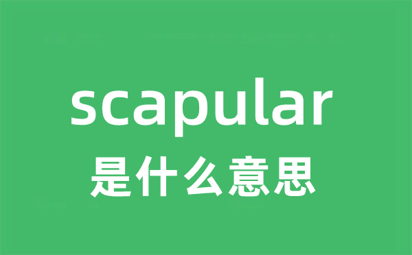 scapular是甚么意义