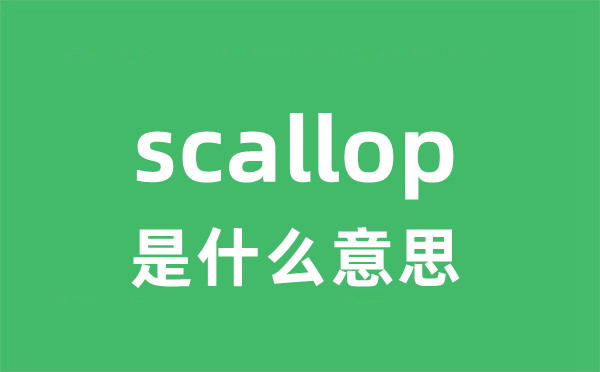 scallop是甚么意义