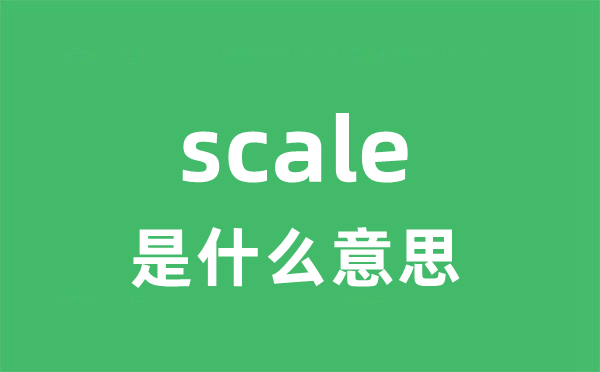 scale是甚么意义