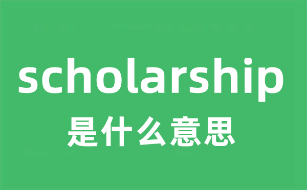 scholarship是甚么意义