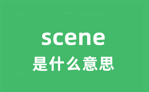 scene是甚么意义