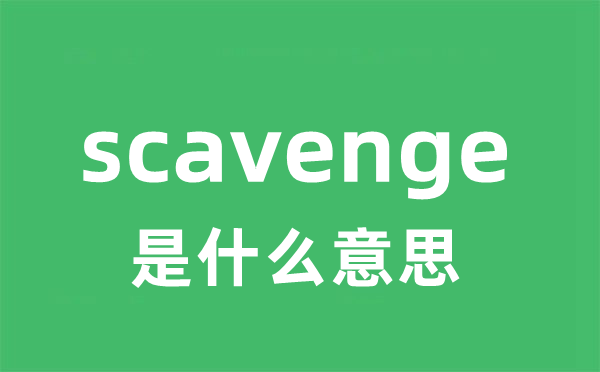 scavenge是甚么意义