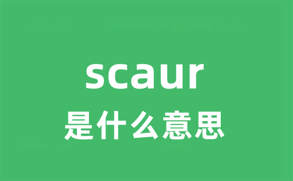 scaur是甚么意义