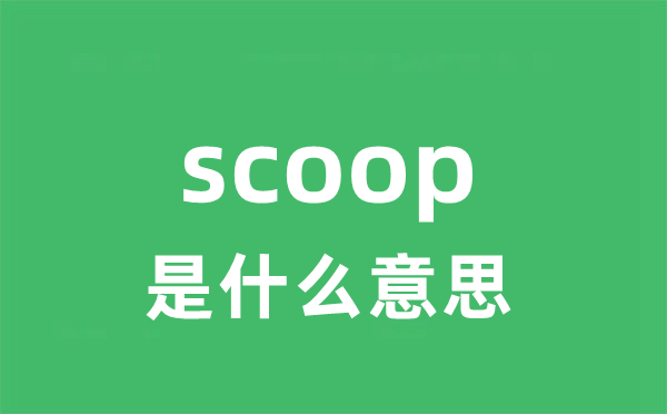scoop是甚么意义