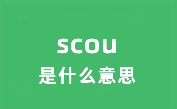 scour是甚么意义