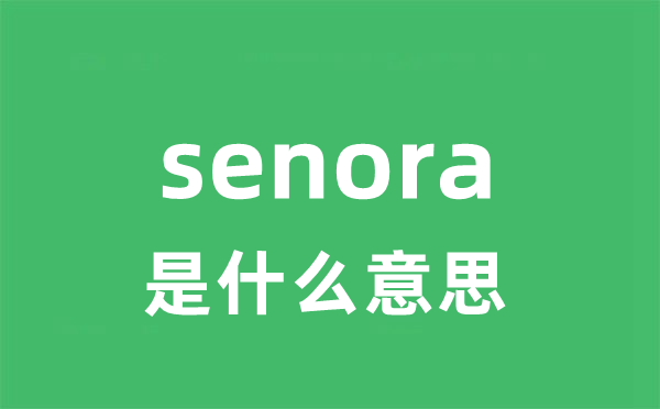 senora是甚么意义
