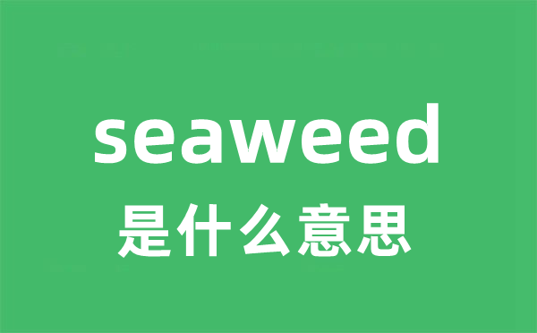 seaweed是甚么意义