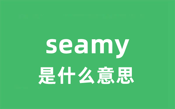 seamy是甚么意义