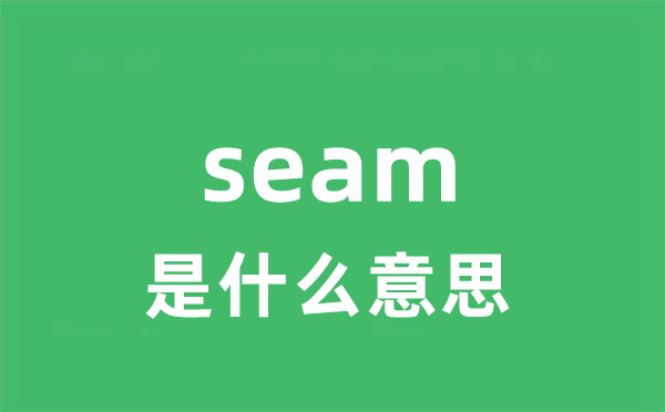 seam是甚么意义