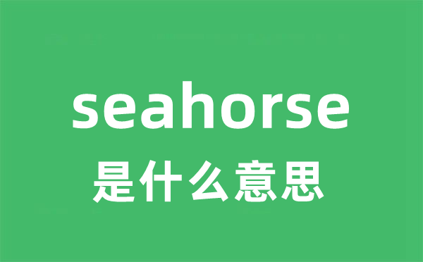 seahorse是甚么意义