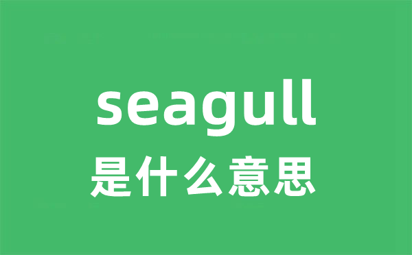 seagull是甚么意义