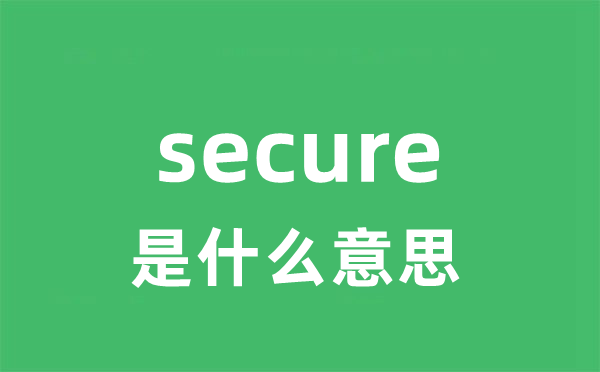 secure是甚么意义