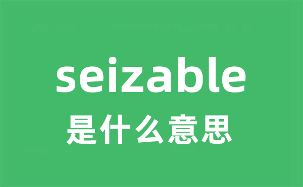 seizable是甚么意义