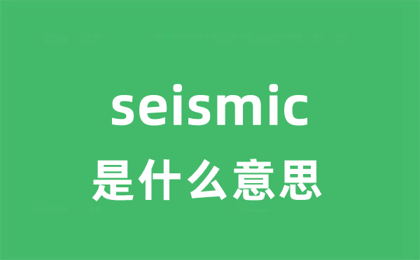 seismic是甚么意义