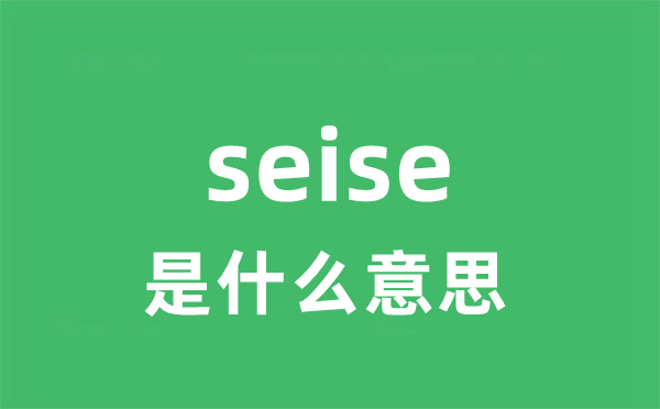 seise是甚么意义