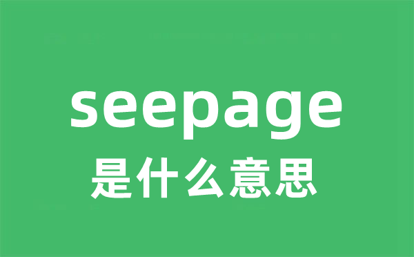 seepage是甚么意义