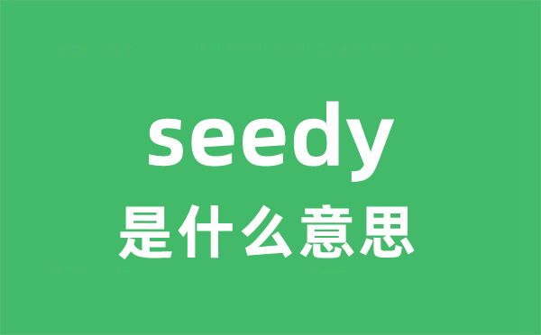 seedy是甚么意义