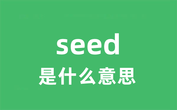 seed是甚么意义