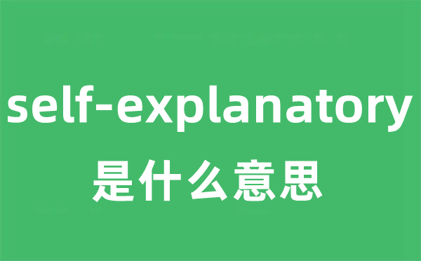 self-explanatory是甚么意义