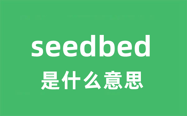 seedbed是甚么意义