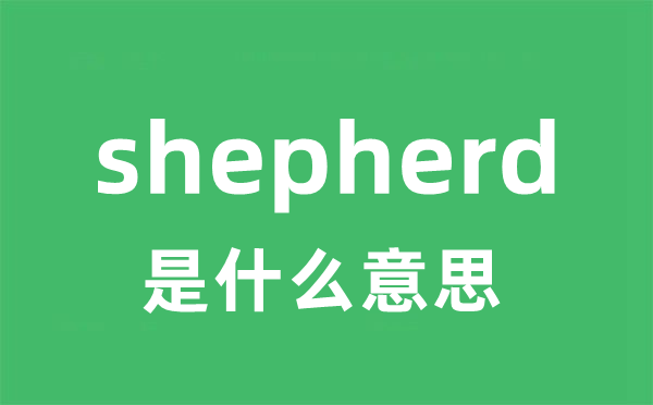 shepherd是甚么意义