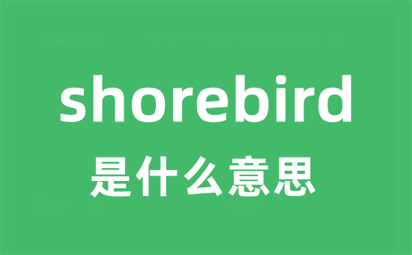 shorebird是甚么意义