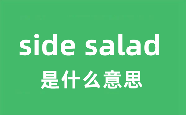 side salad是甚么意义