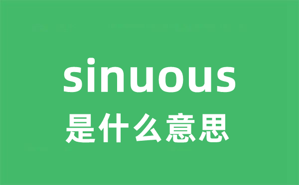 sinuous是甚么意义