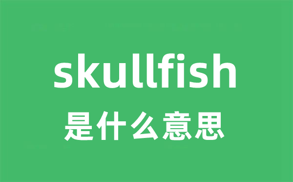 skullfish是甚么意义