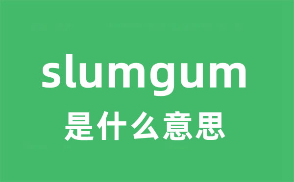 slumgum是甚么意义