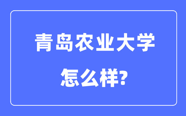 青岛农业大学是几本一本仍是二本,青岛农业大学怎样样？
