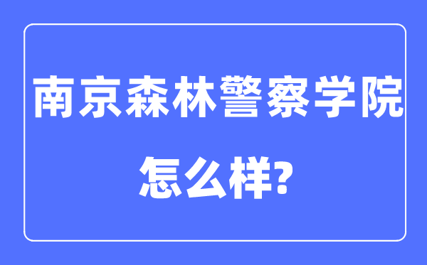 南京丛林差人学院是几本一本仍是二本,南京丛林差人学院怎样样？
