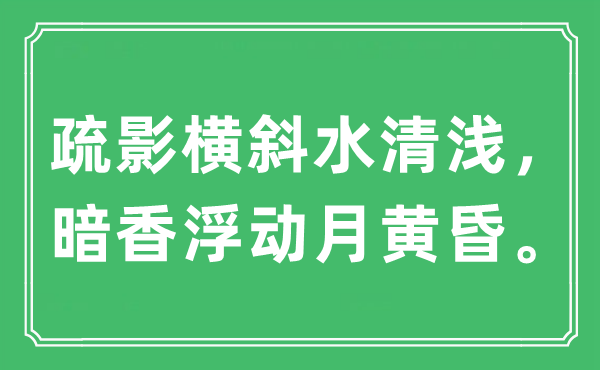 “疏影横斜水清浅，暗香浮动月傍晚。”是甚么意义,来由及原文翻译
