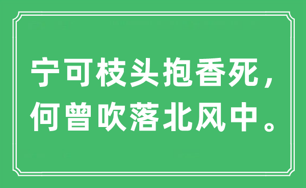 “宁肯枝头抱香死,何曾吹落北风中。”是甚么意义,来由及原文翻译