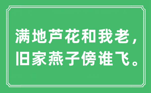 “满地芦花和我老，旧家燕子傍谁飞”是甚么意义,来由及原文翻译