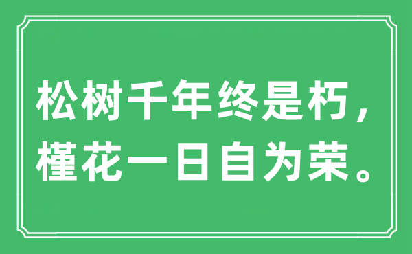 “松树千年终是朽，槿花一日自为荣。”是甚么意义,来由及原文翻译