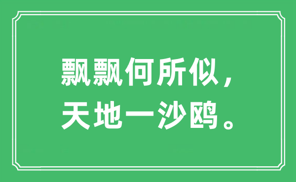 “飘飘何所似，六合一沙鸥。”是甚么意义,来由及原文翻译