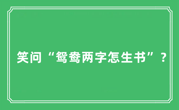 “笑问“鸳鸯两字怎生书”？”是甚么意义,来由及原文翻译